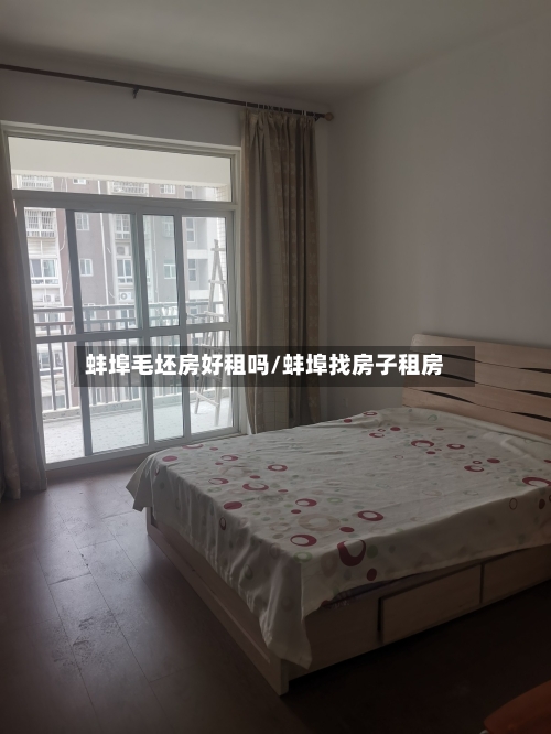 蚌埠毛坯房好租吗/蚌埠找房子租房