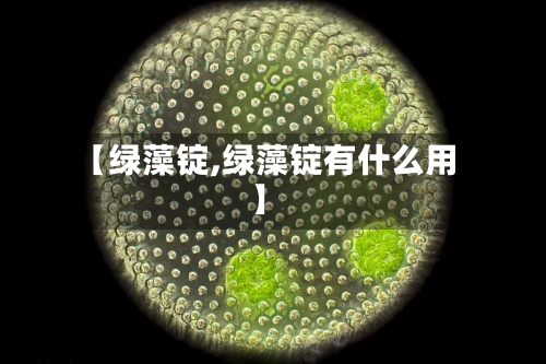 【绿藻锭,绿藻锭有什么用】-第3张图片