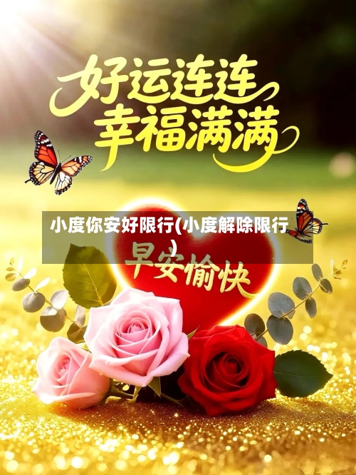 小度你安好限行(小度解除限行)-第2张图片