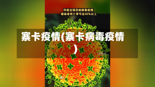 寨卡疫情(寨卡病毒疫情)