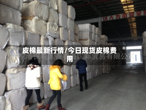 皮棉最新行情/今日现货皮棉费用-第3张图片