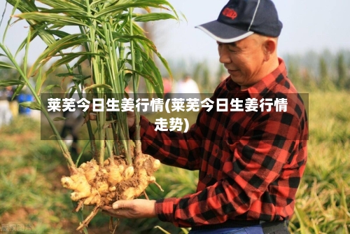 莱芜今日生姜行情(莱芜今日生姜行情走势)-第3张图片