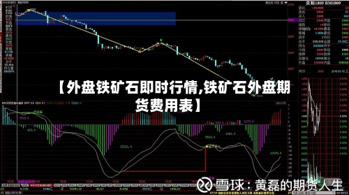 【外盘铁矿石即时行情,铁矿石外盘期货费用表】-第2张图片