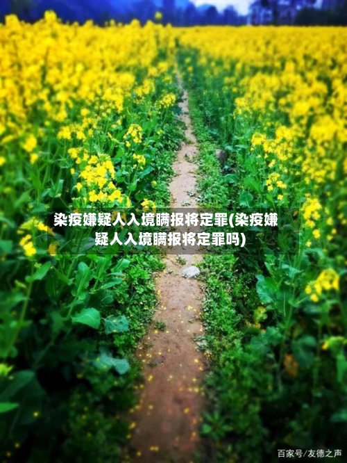 染疫嫌疑人入境瞒报将定罪(染疫嫌疑人入境瞒报将定罪吗)-第2张图片