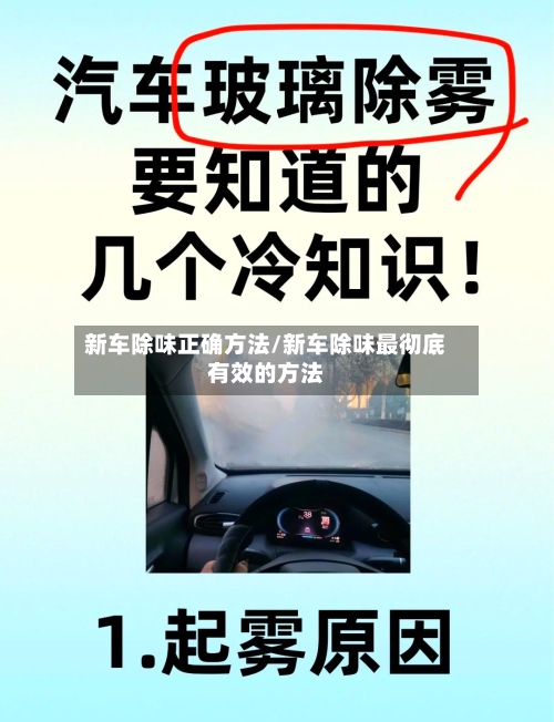 新车除味正确方法/新车除味最彻底有效的方法