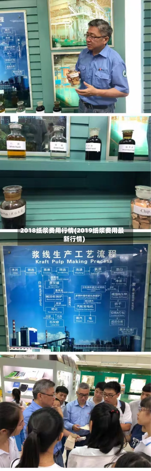 2018纸浆费用行情(2019纸浆费用最新行情)-第2张图片