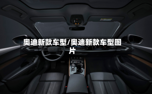 奥迪新款车型/奥迪新款车型图片