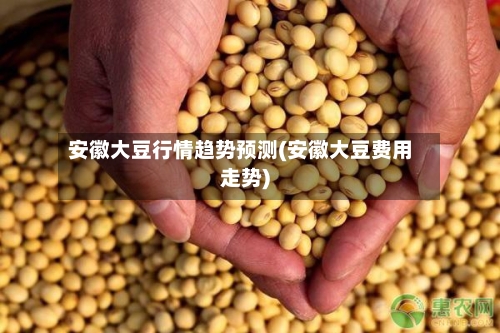 安徽大豆行情趋势预测(安徽大豆费用走势)