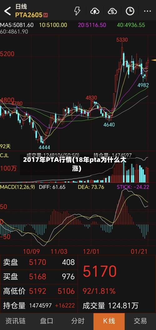 2017年PTA行情(18年pta为什么大涨)-第3张图片