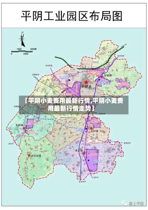【平阴小麦费用最新行情,平阴小麦费用最新行情走势】