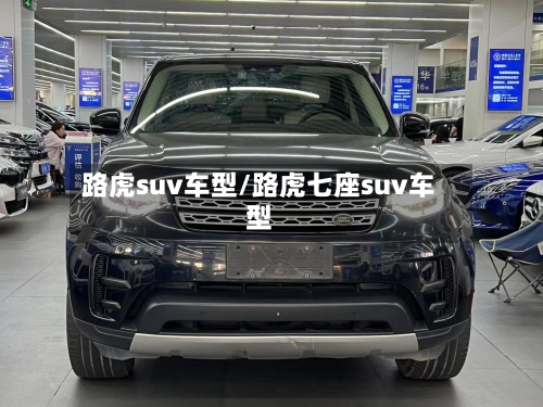 路虎suv车型/路虎七座suv车型-第3张图片