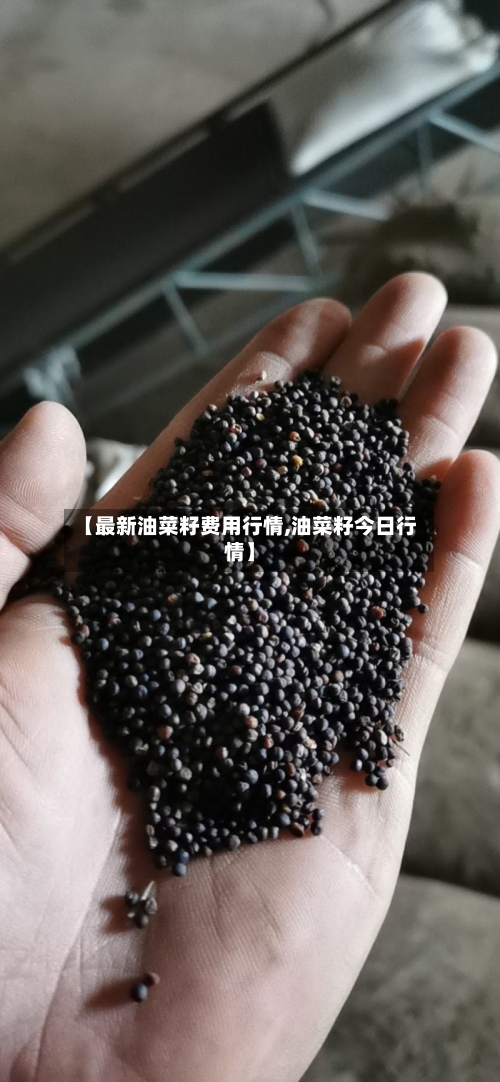 【最新油菜籽费用行情,油菜籽今日行情】-第2张图片
