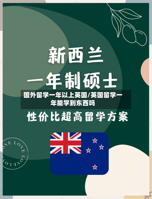国外留学一年以上英国/英国留学一年能学到东西吗-第2张图片
