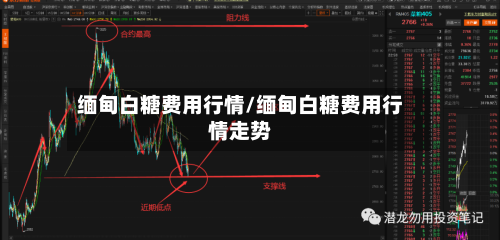 缅甸白糖费用行情/缅甸白糖费用行情走势-第3张图片