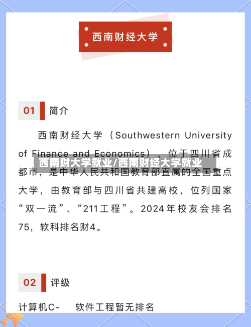 西南财大学就业/西南财经大学就业