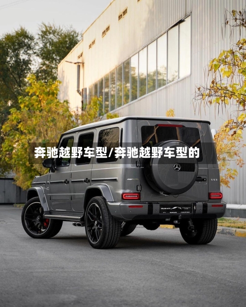 奔驰越野车型/奔驰越野车型的