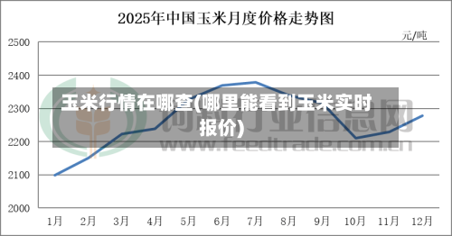 玉米行情在哪查(哪里能看到玉米实时报价)