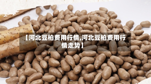 【河北豆柏费用行情,河北豆柏费用行情走势】