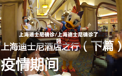 上海迪士尼确诊/上海迪士尼确诊了吗-第2张图片