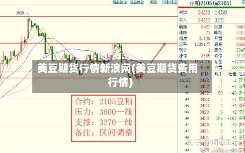美豆期货行情新浪网(美豆期货费用行情)