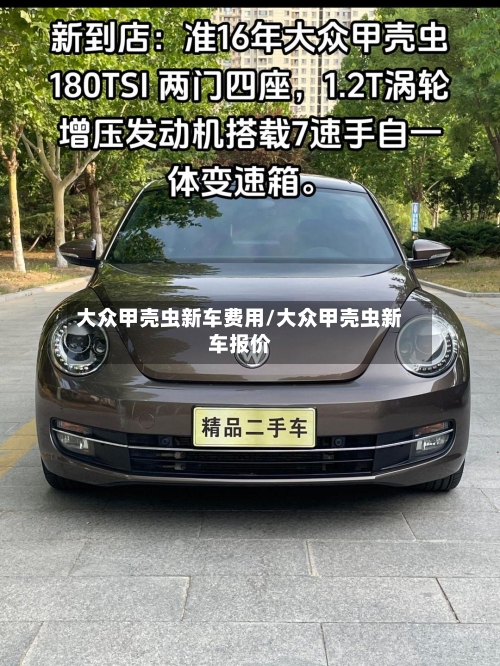 大众甲壳虫新车费用/大众甲壳虫新车报价