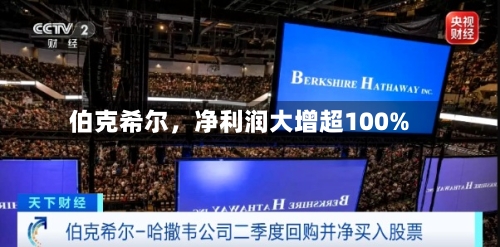伯克希尔，净利润大增超100%-第2张图片