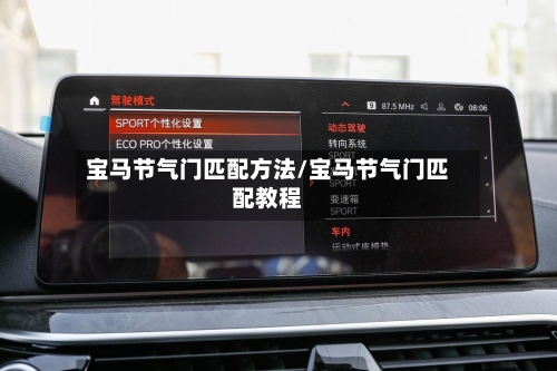 宝马节气门匹配方法/宝马节气门匹配教程-第2张图片