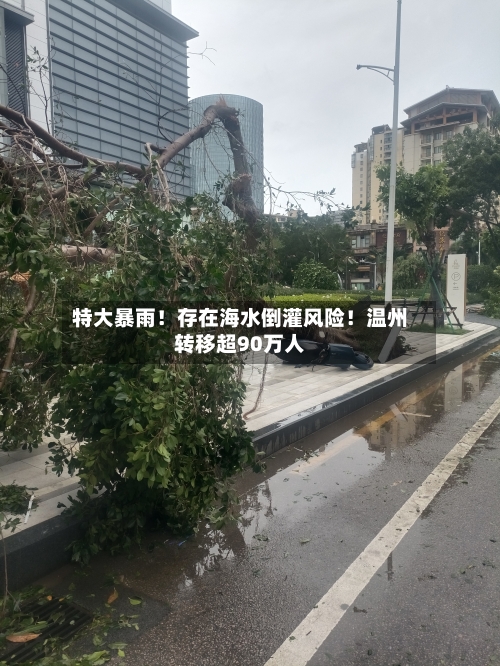 特大暴雨!存在海水倒灌风险!温州转移超90万人-第2张图片