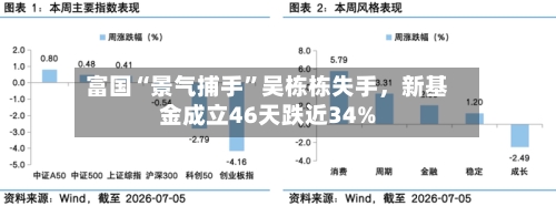 富国“景气捕手”吴栋栋失手，新基金成立46天跌近34%
