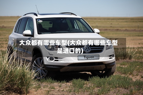大众都有哪些车型(大众都有哪些车型是进口的)-第2张图片