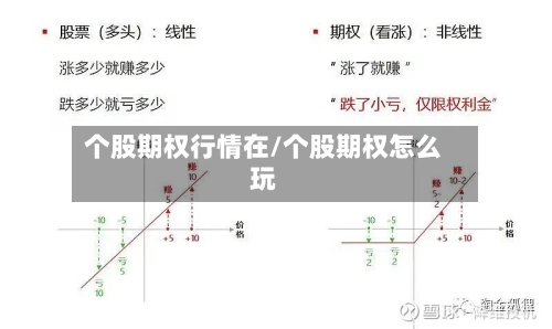 个股期权行情在/个股期权怎么玩