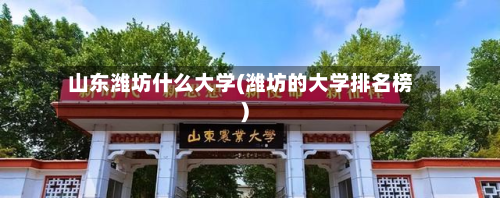 山东潍坊什么大学(潍坊的大学排名榜)-第3张图片