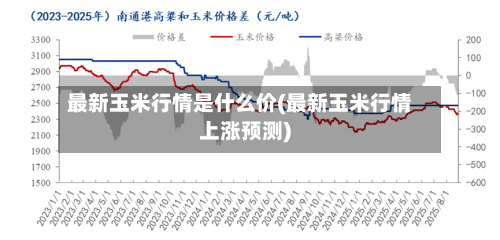 最新玉米行情是什么价(最新玉米行情上涨预测)