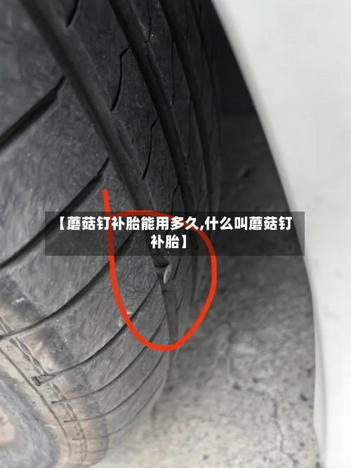 【蘑菇钉补胎能用多久,什么叫蘑菇钉补胎】