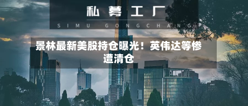 景林最新美股持仓曝光!英伟达等惨遭清仓-第2张图片