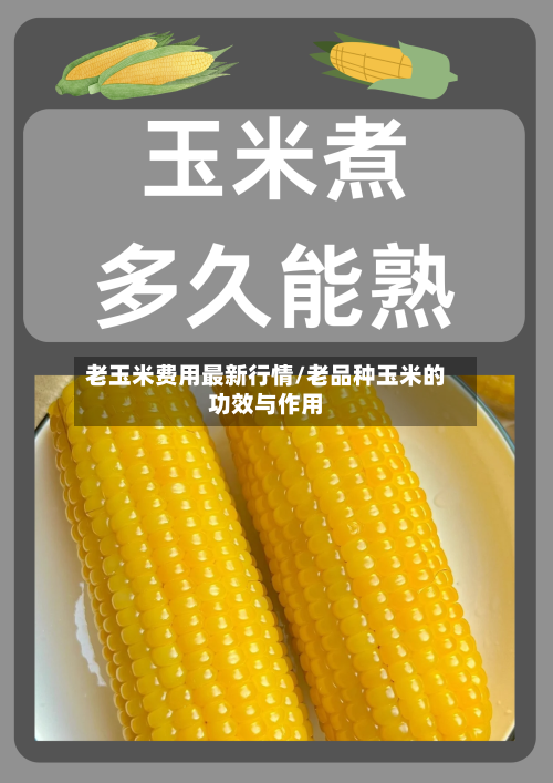 老玉米费用最新行情/老品种玉米的功效与作用-第3张图片