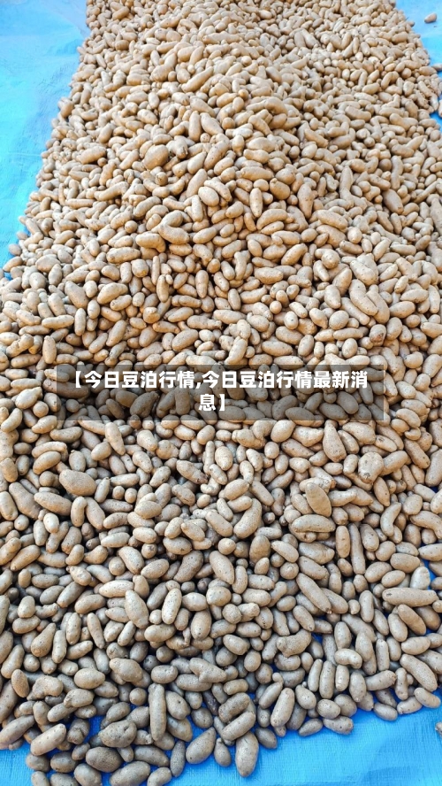 【今日豆泊行情,今日豆泊行情最新消息】-第3张图片