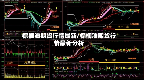 棕榈油期货行情最新/棕榈油期货行情最新分析