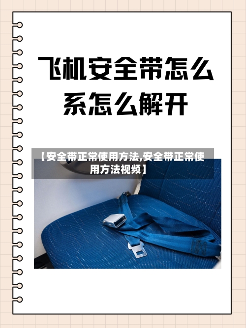 【安全带正常使用方法,安全带正常使用方法视频】