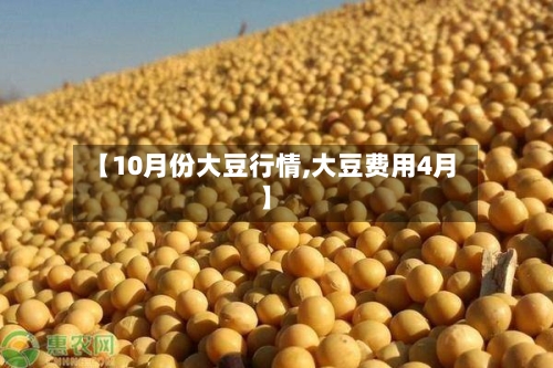 【10月份大豆行情,大豆费用4月】