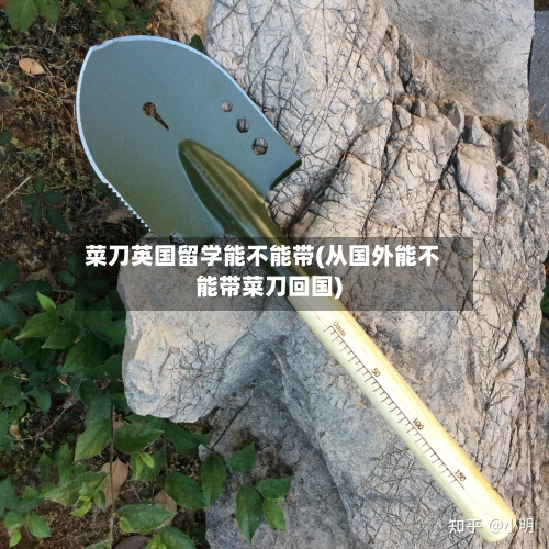菜刀英国留学能不能带(从国外能不能带菜刀回国)-第3张图片