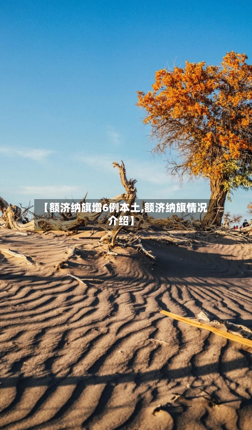 【额济纳旗增6例本土,额济纳旗情况介绍】