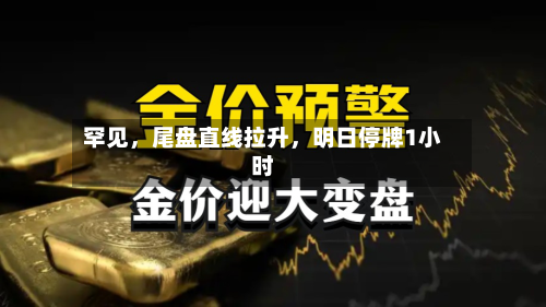 罕见，尾盘直线拉升，明日停牌1小时-第2张图片