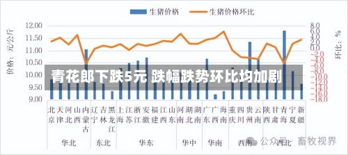 青花郎下跌5元 跌幅跌势环比均加剧
