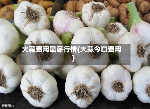 大蒜费用最薪行情(大蒜今口费用)