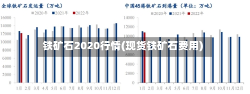 铁矿石2020行情(现货铁矿石费用)