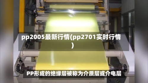pp2005最新行情(pp2701实时行情)