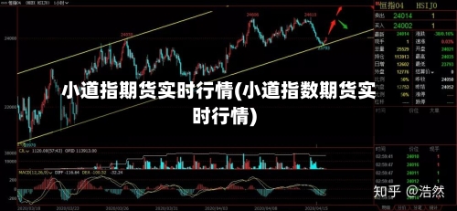 小道指期货实时行情(小道指数期货实时行情)
