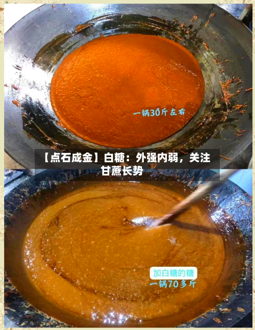 【点石成金】白糖：外强内弱	，关注甘蔗长势-第3张图片