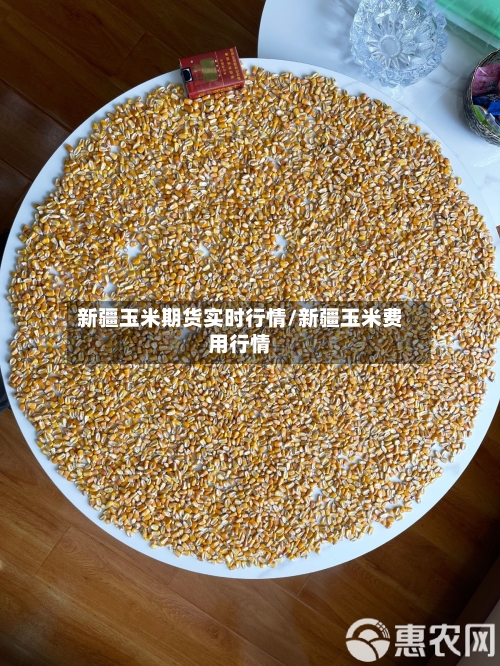 新疆玉米期货实时行情/新疆玉米费用行情